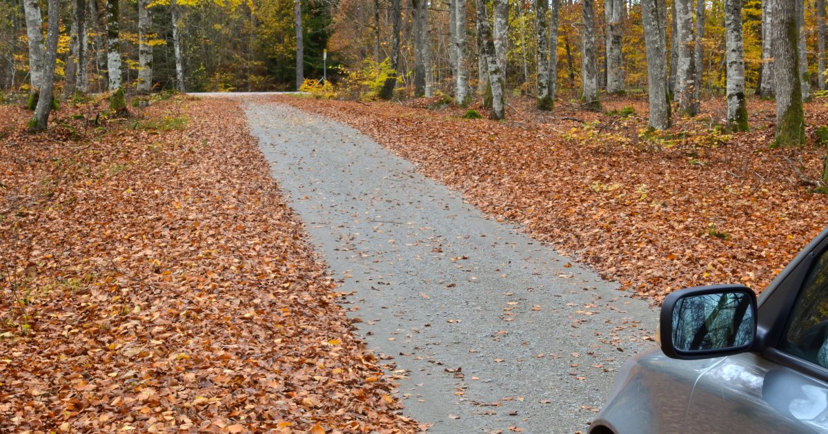 driving on wet leaves int he fall can be dangerous